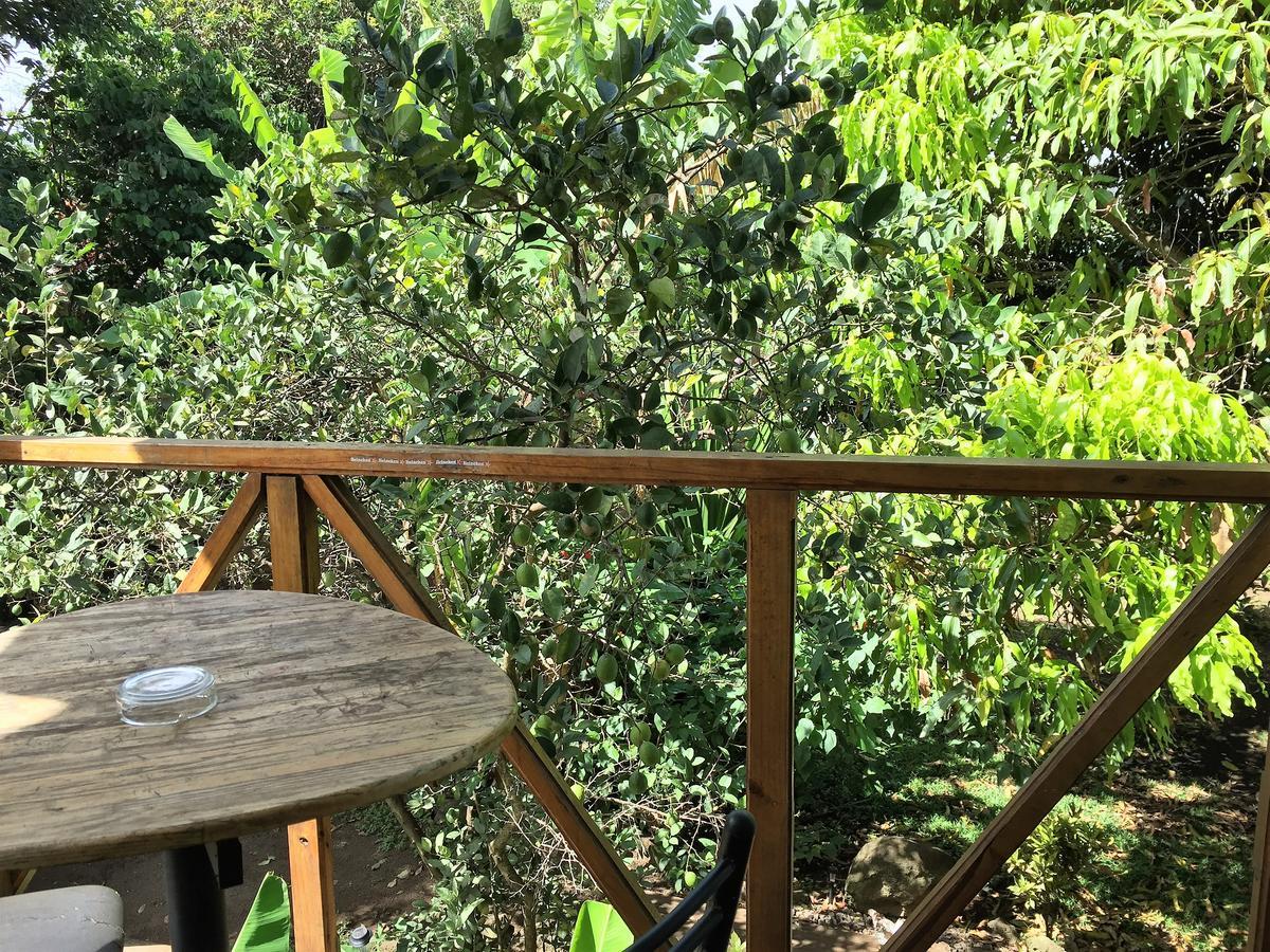 הנגה רואה Hostal Marari מראה חיצוני תמונה